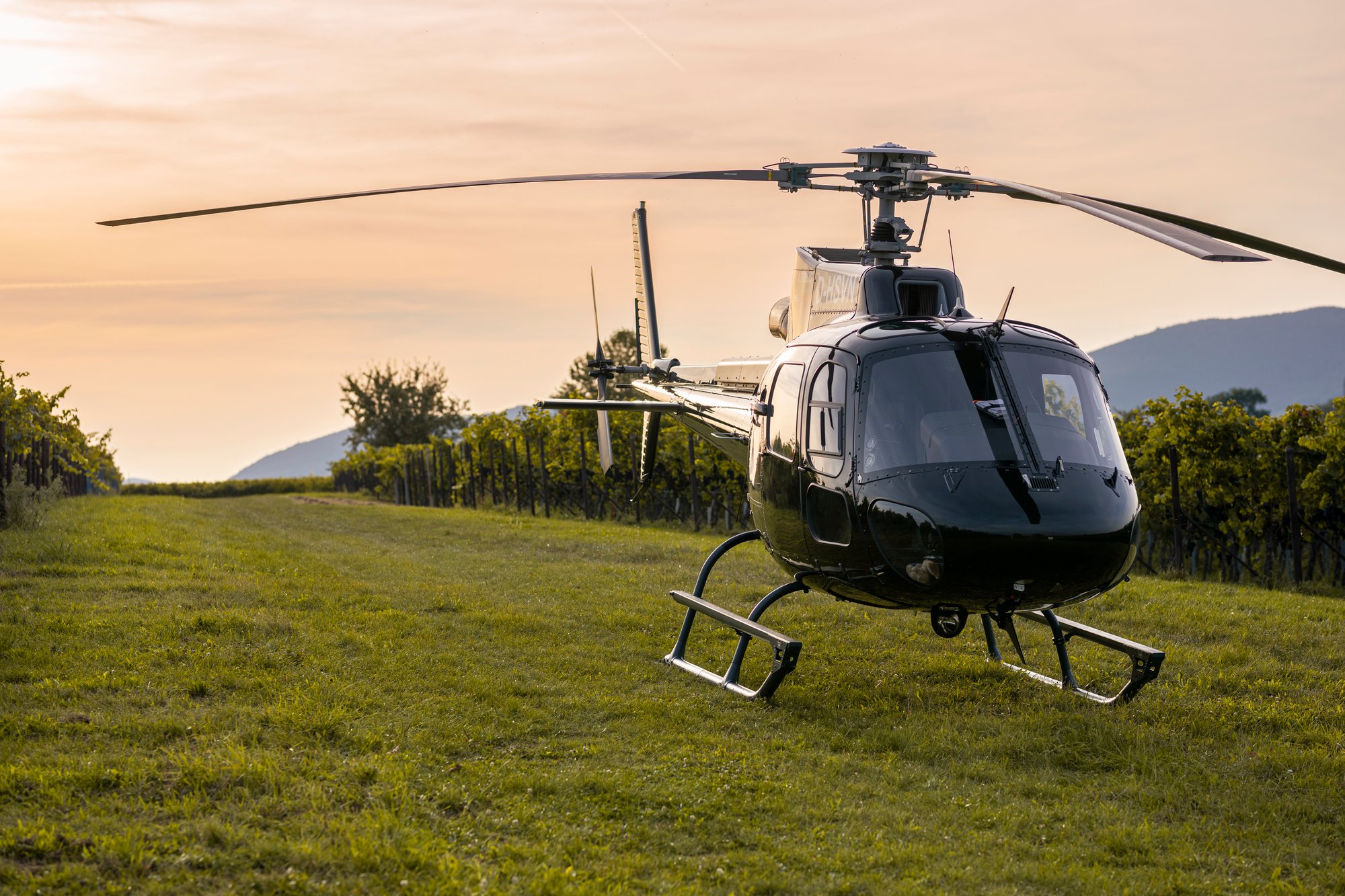 Weinberge_HeliSeven©2021_101 Weinberge_HeliSeven©2021_101